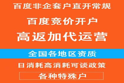 百度搜索推广案例集锦：实战技巧与策略解析